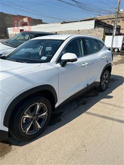 جيتور داشينج